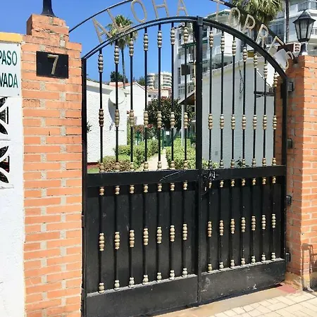 By Meatina Torremolinos