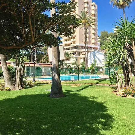 By Meatina توريمولينوس